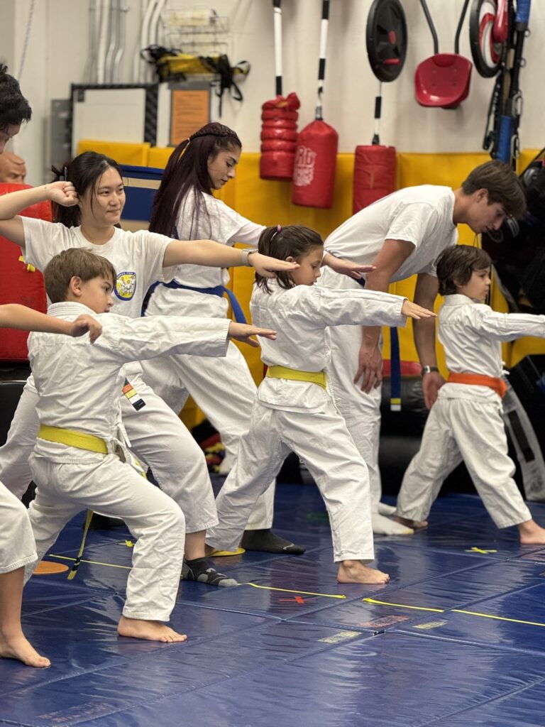 IMG 9593