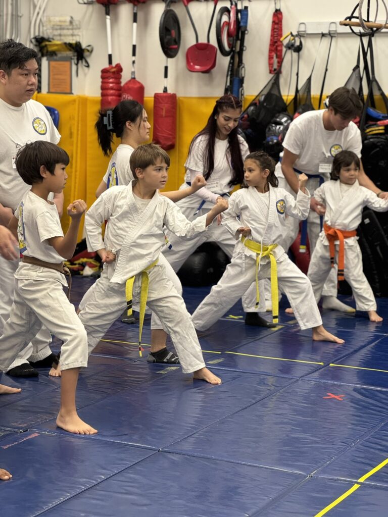 IMG 9594